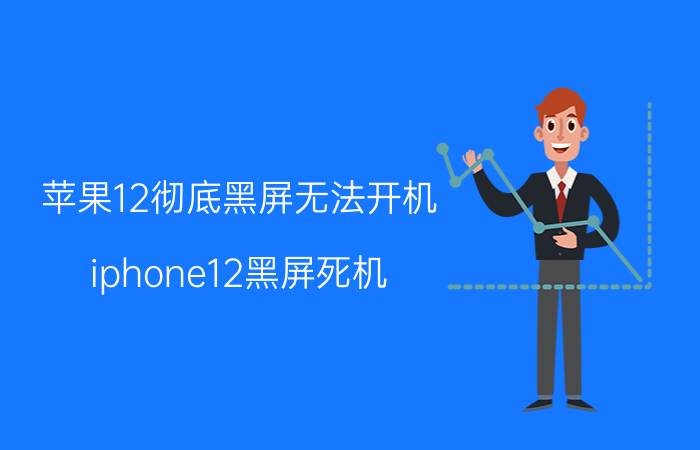 苹果12彻底黑屏无法开机 iphone12黑屏死机？